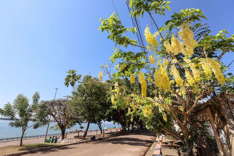  <div class='credito_fotos'>Foto: Bruno Cecim / Ag.Pará   |   <a href='/midias/2021/originais/8886_c40a0e53-caa2-ee05-5f75-16006aac4473.jpg' download><i class='fa-solid fa-download'></i> Download</a></div>