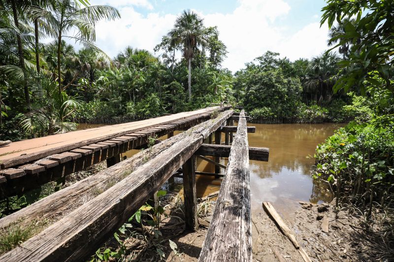 Foto: Rodrigo Pinheiro / Ag.Pará