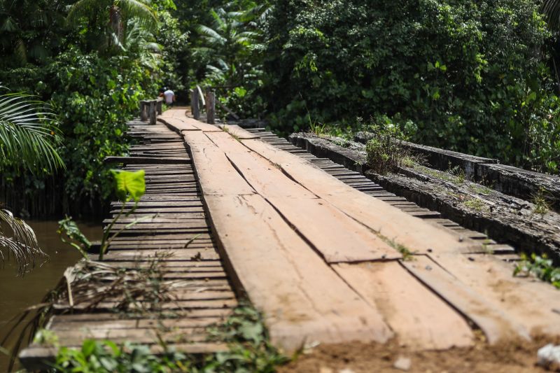 Foto: Rodrigo Pinheiro / Ag.Pará