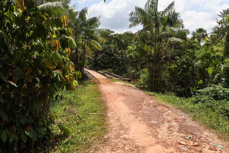 Foto: Rodrigo Pinheiro / Ag.Pará