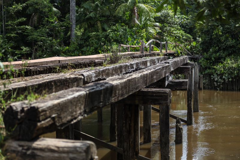 Foto: Rodrigo Pinheiro / Ag.Pará