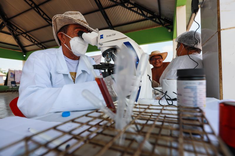 Foto: Marcelo Seabra / Ag. Pará