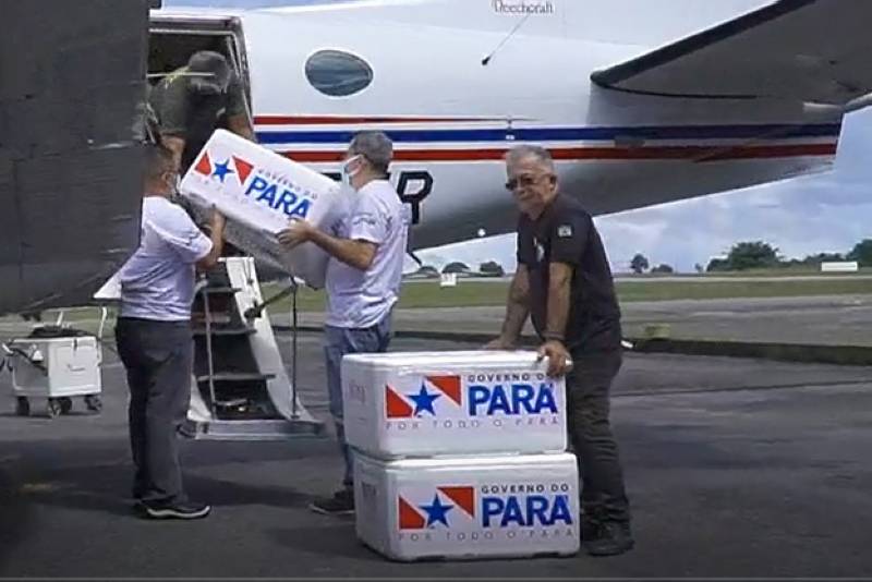 Até a próxima segunda-feira o Graesp distribuirá o mais recente lote de vacinas enviado pelo Ministério da Saúde