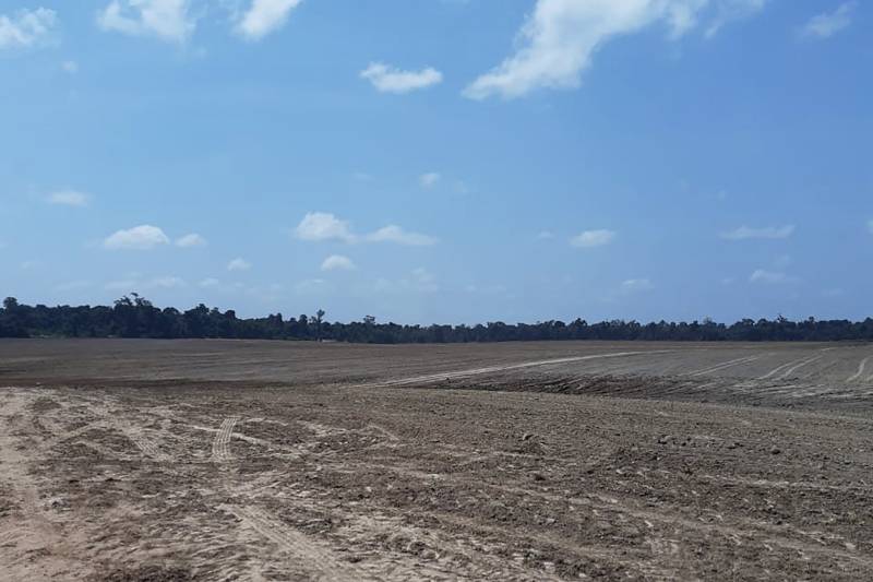 ttttttttttFazenda São Marcos / Ulianópolis