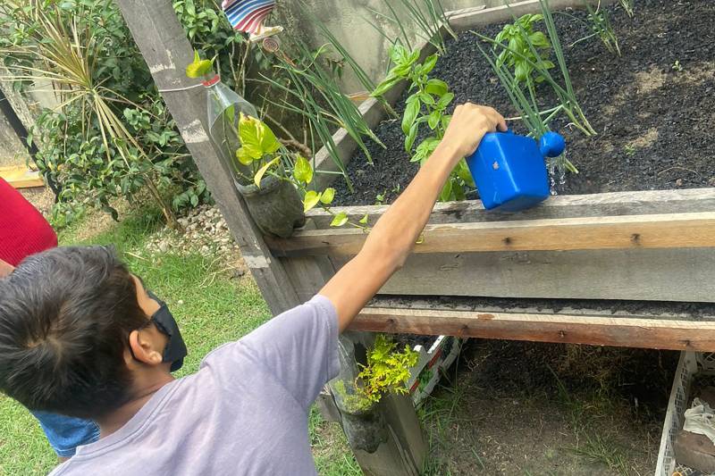 MATEUS REGA AS PLANTINHAS