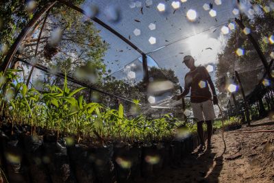 notícia: Atuação da Emater reforça visibilidade da agricultura familiar nos "Diálogos Amazônicos"