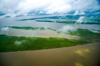 notícia: Fundo da Amazônia Oriental (FAO) captou R$ 30 milhões em 2022 para investimentos em ações 