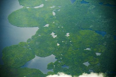 notícia: Pará registra redução de 26% na área sob alertas de desmatamento no ano PRODES 2026