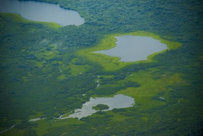 notícia: Pará se destaca na Amazônia com redução de 15% na área recoberta por alertas de desmatamento