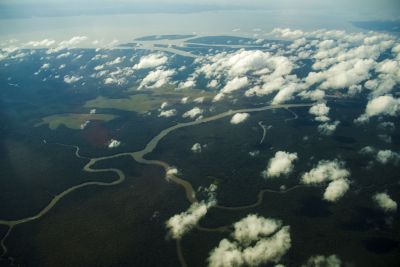 notícia: Secretaria de Meio Ambiente e Sustentabilidade consolida Plano Estadual Amazônia Agora