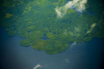 notícia: Pará alcança redução de 12% em área recoberta por alertas de desmatamento 