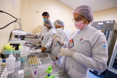 notícia: Mulheres são maioria entre quadro de servidores da Fundação Hemopa