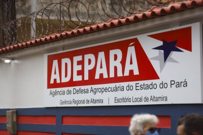 notícia: Fiscais agropecuários apreendem mais de 3 mil ovos clandestinos em Belém
