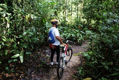 notícia: Governo do Estado investe no ecoturismo paraense