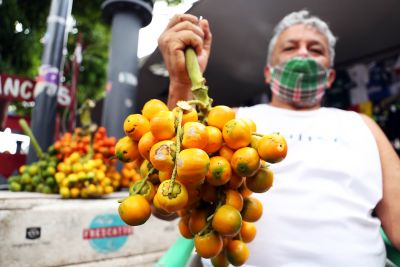 notícia: Emater e Sedap oferecem suporte sustentável para o desenvolvimento da agricultura familiar