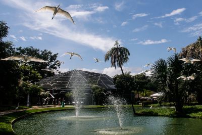 notícia: Veja o que funciona nesta quarta-feira (02), feriado do Dia de Finados