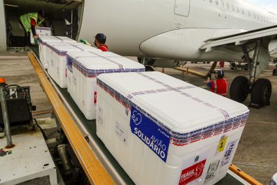 galeria: Chegada das Vacinas em Belém