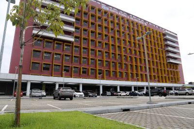 notícia: Especialistas do 'Abelardo Santos' destacam cuidado nutricional para saúde dos rins