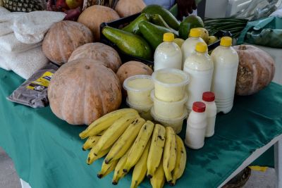 notícia: Nutricionista da Poli de Tucuruí dá dicas para enfrentar o calor com saúde