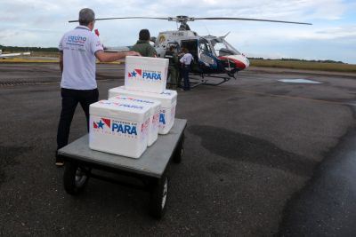 galeria: Novo lote de vacinas contra a Covid-19 começa a ser distribuído aos municípios do interior