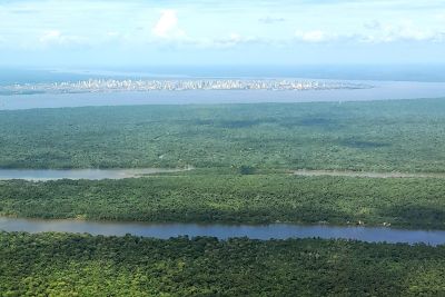 notícia: Semas lança edital para formar o Comitê Gestor do Sistema Estadual sobre Mudanças Climáticas