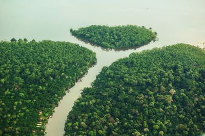 notícia: Plano de Recuperação Verde de consórcio interestadual incorpora sugestões do Pará