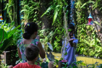 notícia: Mangal terá programação infantil gratuita neste domingo (7)