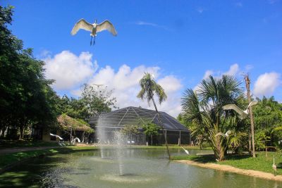 notícia: Estação, Mangal e Parque do Utinga terão programação especial de Natal