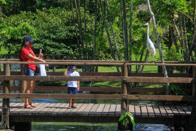 notícia: Mangal oferece programação especial e gratuita no domingo (24)