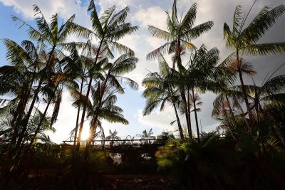 notícia: Plano Estadual Amazônia Agora avança no desenvolvimento social e econômico paraense
