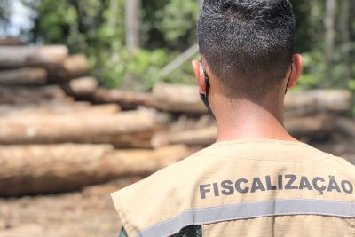 notícia: Semas apresenta avanços históricos na gestão ambiental do Pará em 2020