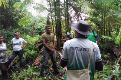 notícia: Projetos elaborados pela Emater são aprovados em edital de patrocínio