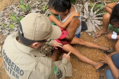 notícia: Corpo de Bombeiros atende dois irmãos que se perderam na mata em Santarém