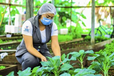 notícia: Qualidade da alimentação oferecida no Hospital Regional do Marajó tem reconhecimento nacional