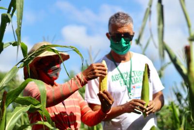 notícia: Emater realizou mais de 56 mil atendimentos em todo o Pará, em 2020