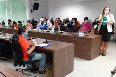 notícia: Conselho Estadual de Meio Ambiente discute reforma nos processos de licenciamento