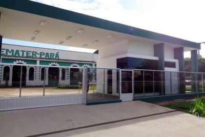 notícia: Emater adota expediente remoto nos escritórios dos municípios da região do Baixo Amazonas