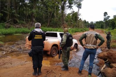 notícia: Pará reduz 90% do desmatamento no mês de janeiro em relação a mesmo período em 2020