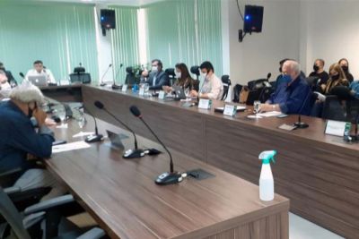 notícia: Conselho Estadual aprova reformulação da legislação ambiental e define atribuições de municípios e Estado