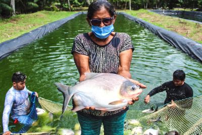 notícia: Emater fortalece atividades de piscicultores de Santa Bárbara do Pará