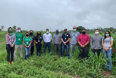 notícia: Emater incentiva sistema de maior produtividade para criação de gado leiteiro