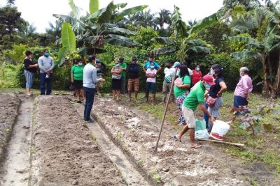notícia: Emater capacita agricultores de Santa Bárbara do Pará sobre correção de solo