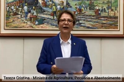 notícia: Evento discute Indicação Geográfica e Marcas Coletivas no Pará