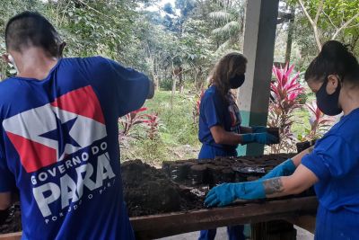 notícia: Internos do sistema penal vão atuar em ações de limpeza e jardinagem em Belém