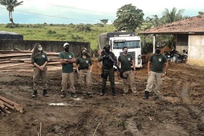 notícia: Pará reduz desmatamento em 94% durante nona fase da Operação Amazônia Viva
