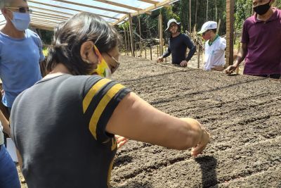 notícia: Com apoio da Emater, agricultoras conquistam liderança e respeito no meio rural
