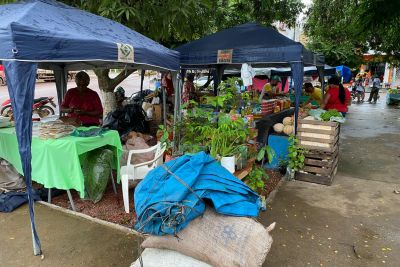 notícia: Sedap apoia a realização da Feira da Mulher Rural em Itaituba
