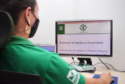 notícia: Mapa prorroga validade da Declaração de Aptidão ao Pronaf de agricultores familiares