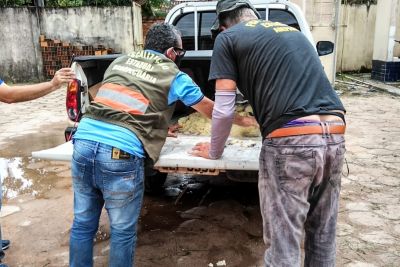 notícia: Adepará apreende quatro cargas clandestinas em Santa Maria do Pará