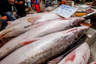 notícia: Sedap divulga tabela de produtos e preços da Feira do Pescado 2021